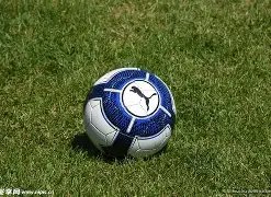 陈凯歌陈红,日本机场亮,行李堆叠引,亿万28(中国)官方网站,亿万28官网入口,亿万28官网下载,亿万28官网登录