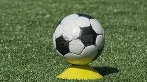 巴林亚青会游泳赛场中国队揽获4枚金牌