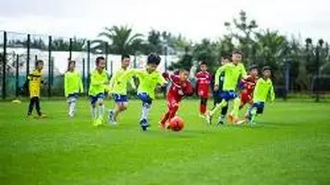 精选夸克网盘资源大汇总：777款精选