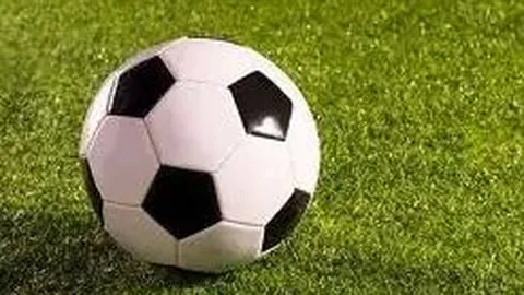 2025赣州市“新长征杯”青少年足球超级联赛分区赛盛大收官，创参赛队之最