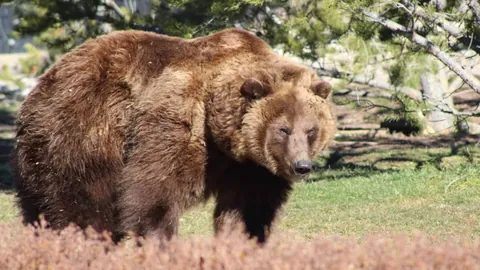 亿万28官网下载 产品 083303 p8v