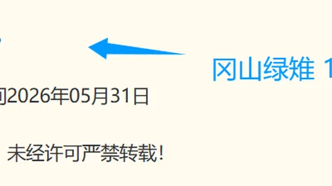 西篮甲深度解析全面赛事攻略：积分榜与胜负细节
